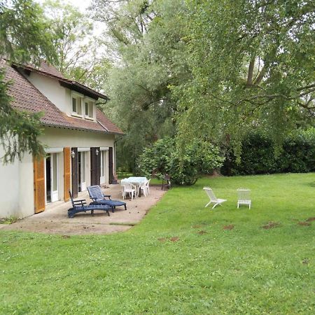 Villa - Coulommiers - Parcs Des Felins - Provins Beautheil-Saints Zewnętrze zdjęcie
