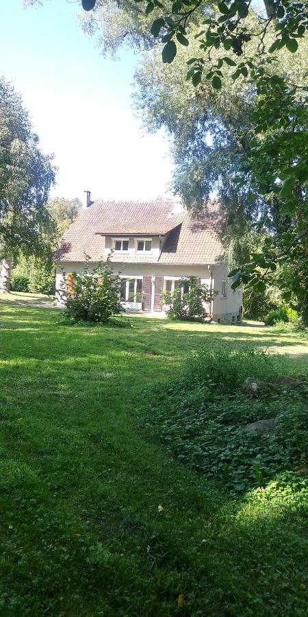 Villa - Coulommiers - Parcs Des Felins - Provins Beautheil-Saints Zewnętrze zdjęcie