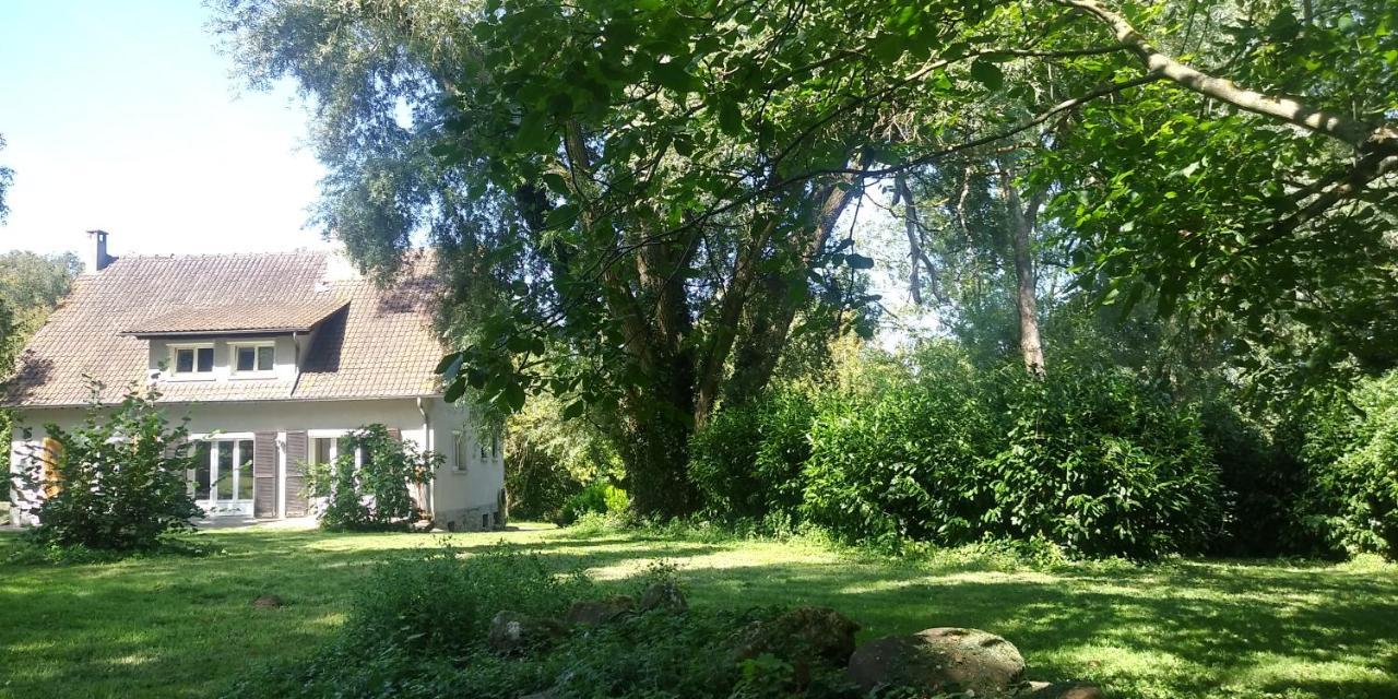Villa - Coulommiers - Parcs Des Felins - Provins Beautheil-Saints Zewnętrze zdjęcie