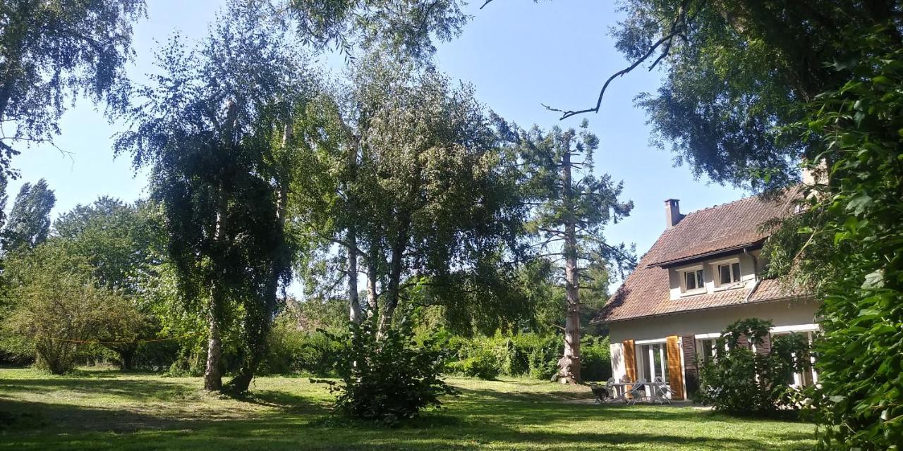 Villa - Coulommiers - Parcs Des Felins - Provins Beautheil-Saints Zewnętrze zdjęcie