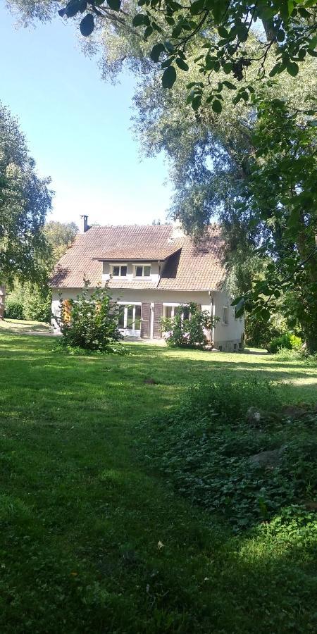 Villa - Coulommiers - Parcs Des Felins - Provins Beautheil-Saints Zewnętrze zdjęcie
