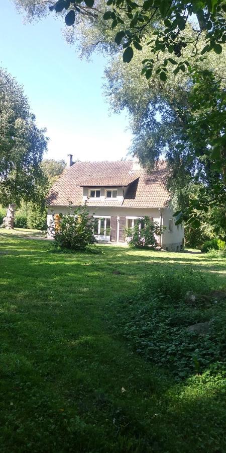 Villa - Coulommiers - Parcs Des Felins - Provins Beautheil-Saints Zewnętrze zdjęcie
