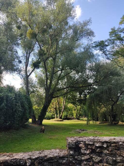 Villa - Coulommiers - Parcs Des Felins - Provins Beautheil-Saints Zewnętrze zdjęcie